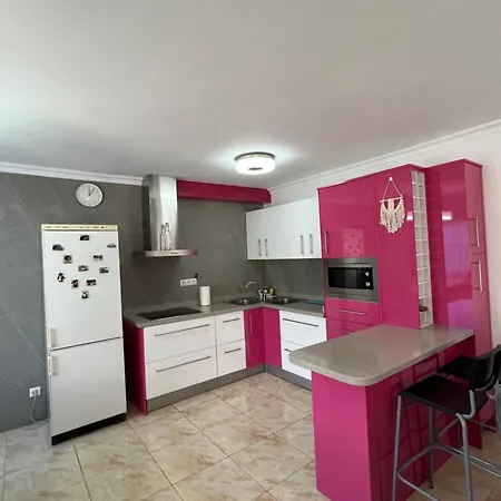 Lovely 2 With Big Terrace In Puerto Rico Daire