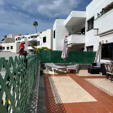 Lovely 2 With Big Terrace In Puerto Rico Daire *